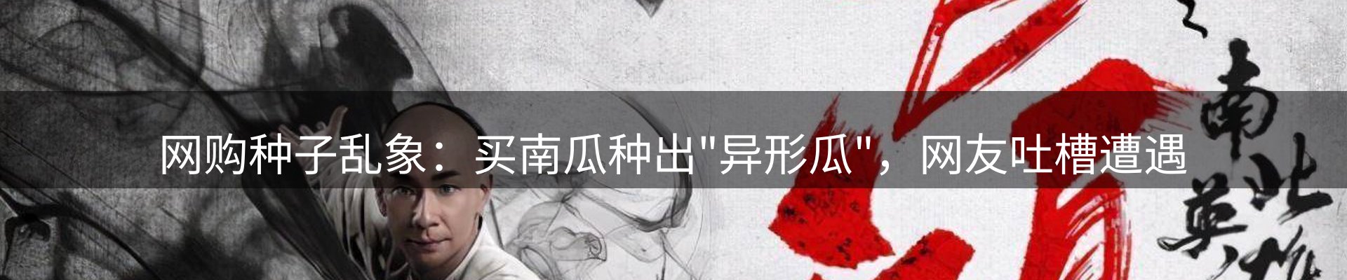 新闻资讯